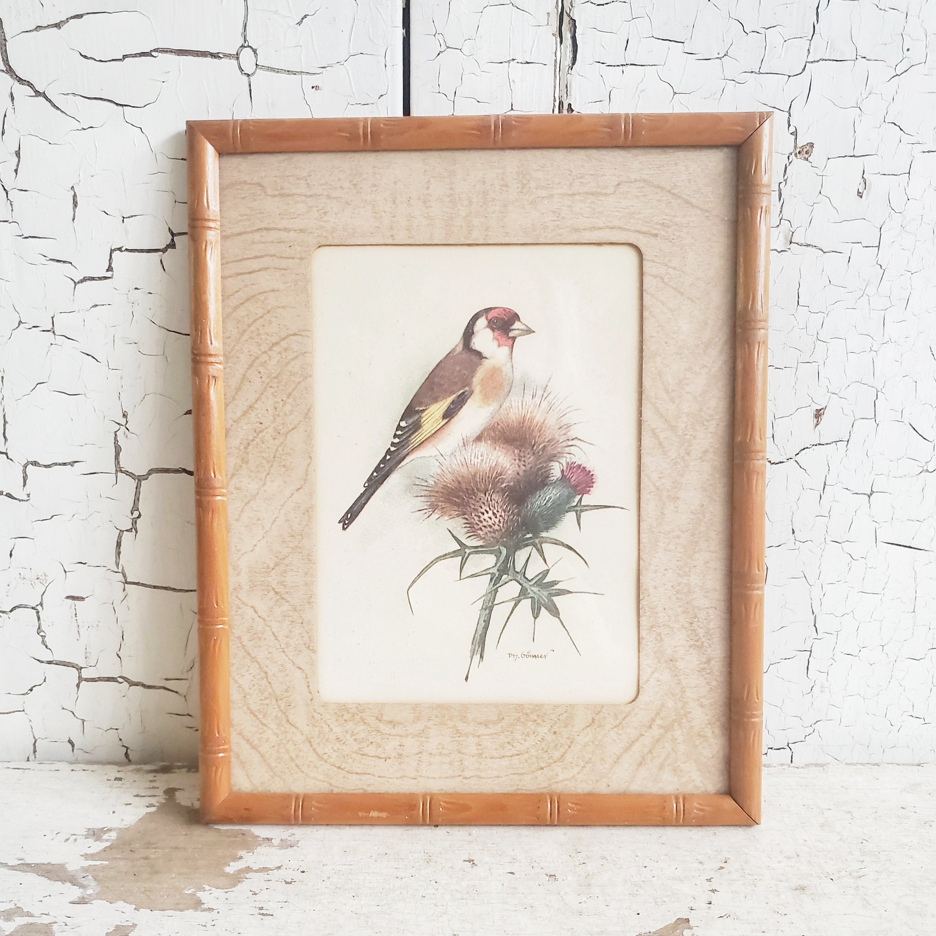 Vintage Framed Bird Print Olde Tyme Marketplace