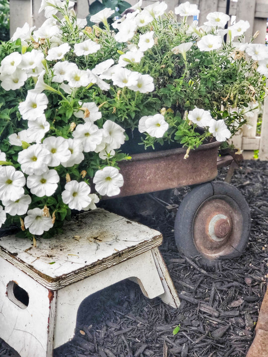 Decorating With Vintage Finds in The Garden