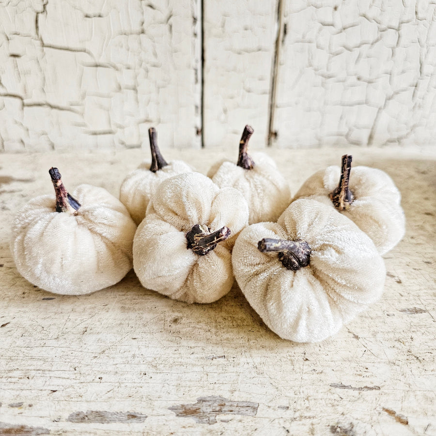 6 piece Cream Velvet Pumpkin Set