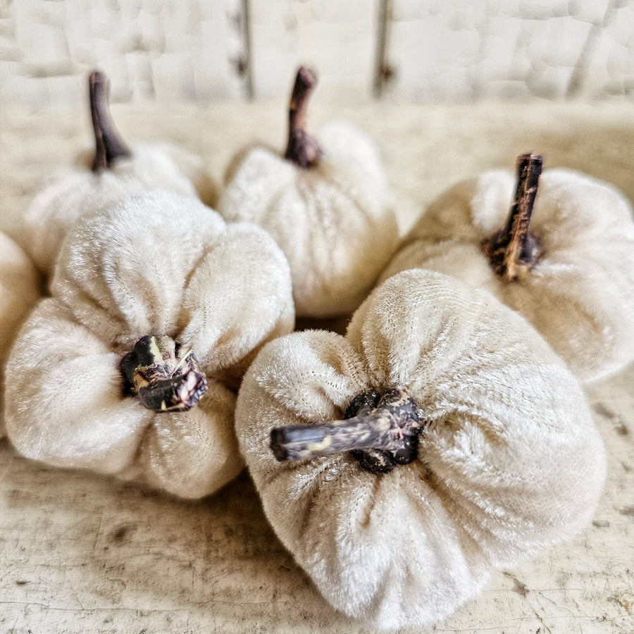 6 piece Cream Velvet Pumpkin Set