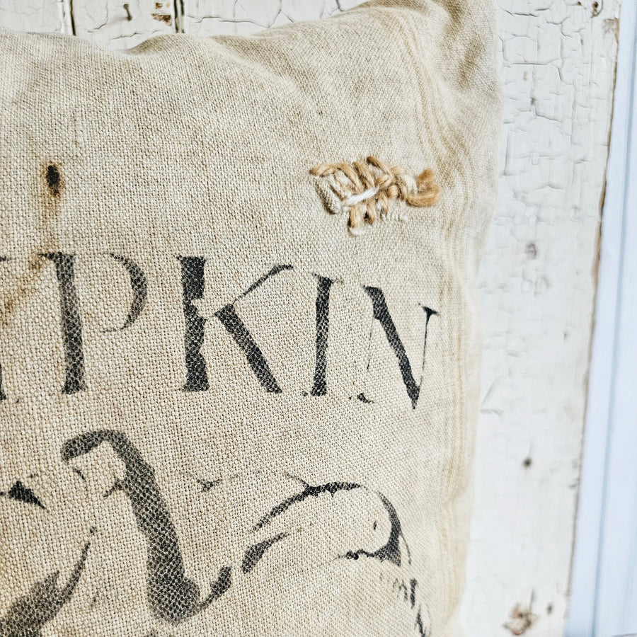 Handmade Grainsack Pillow ....PUMPKIN