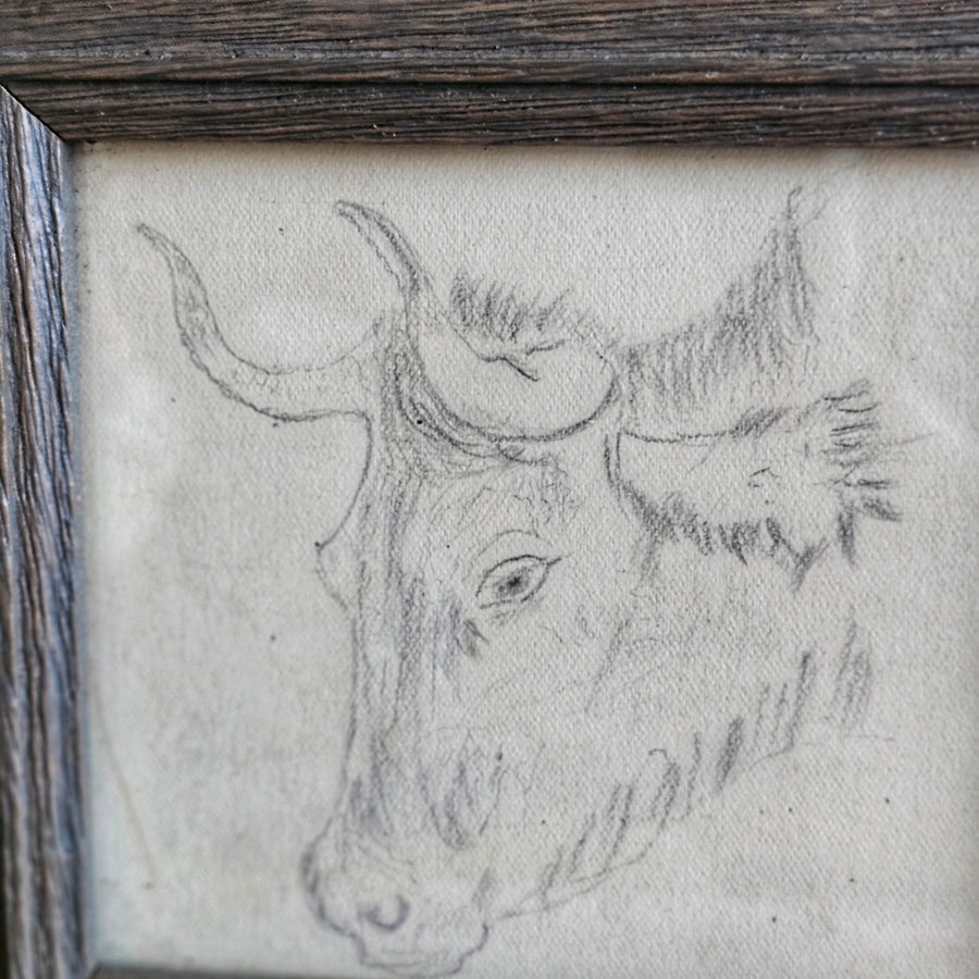 Original Framed  1890's Pencil Sketch - Cow