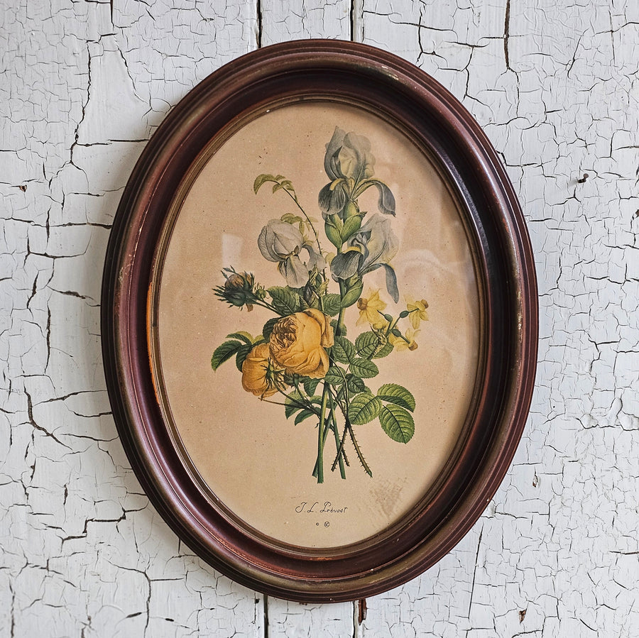 Framed Vintage Jean Louis Prevost Floral Print