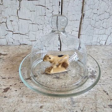 Small Glass Cloche with Plate