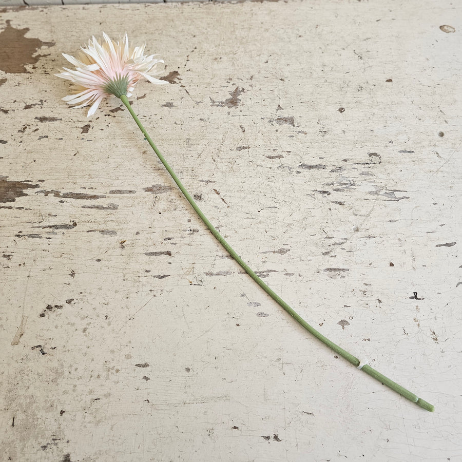 DOORBUSTER-Real Feel Peachy Pink Marshmallow Daisy Stem