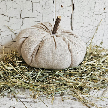Neutral Pumpkin Large