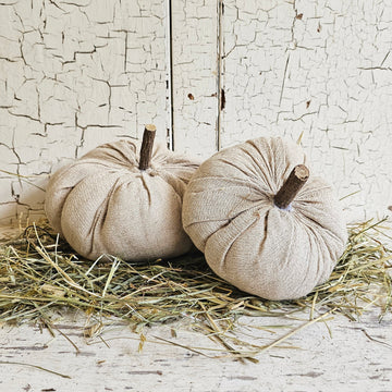 Neutral Pumpkin small