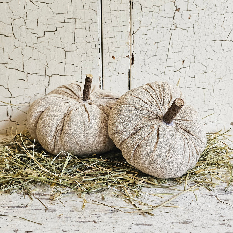 Neutral Pumpkin small
