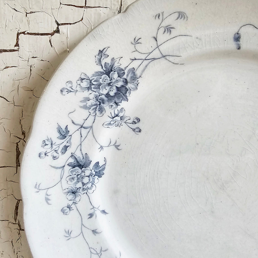 Vintage Brighton Blue Transferware Ironestone Plate