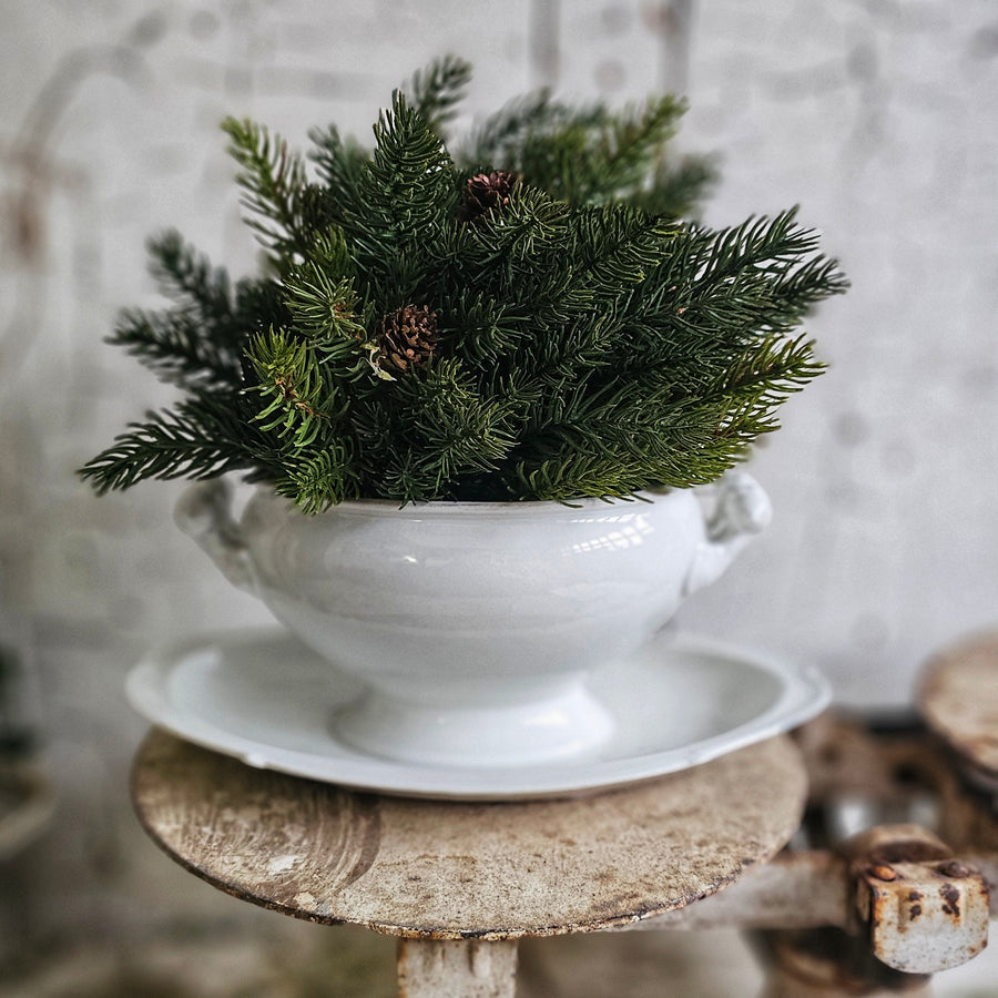 Vintage Small Ironstone Tureen