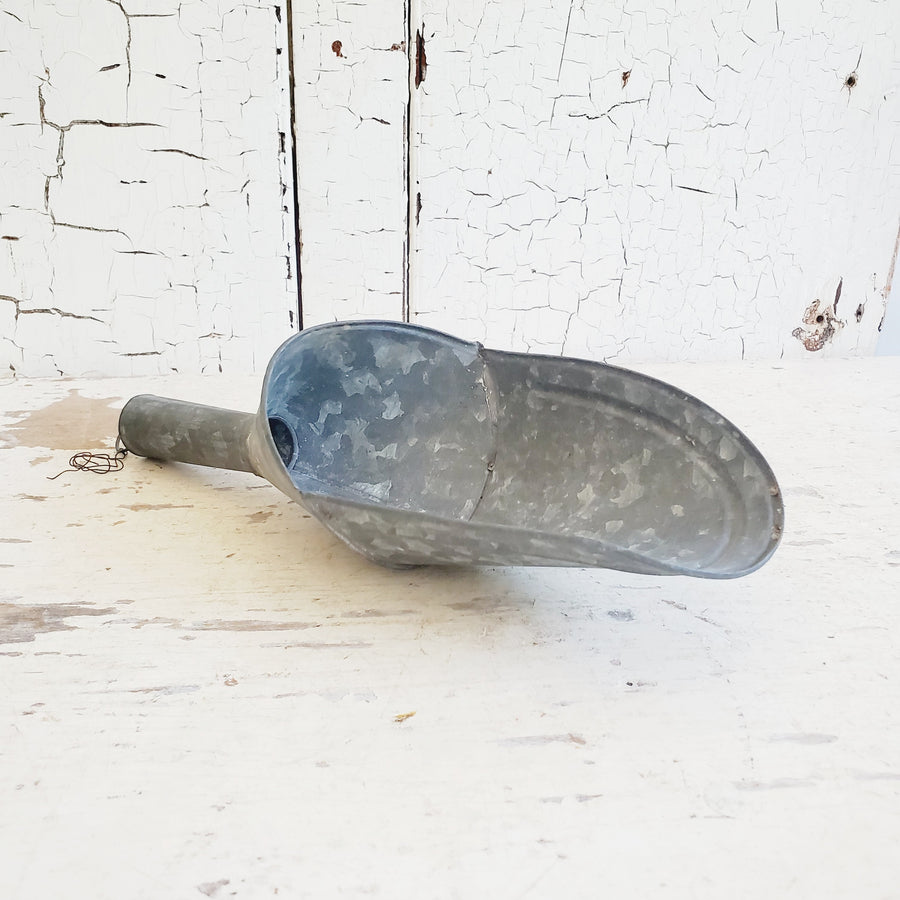 Sm.Metal Galvanized  Grain Scoop