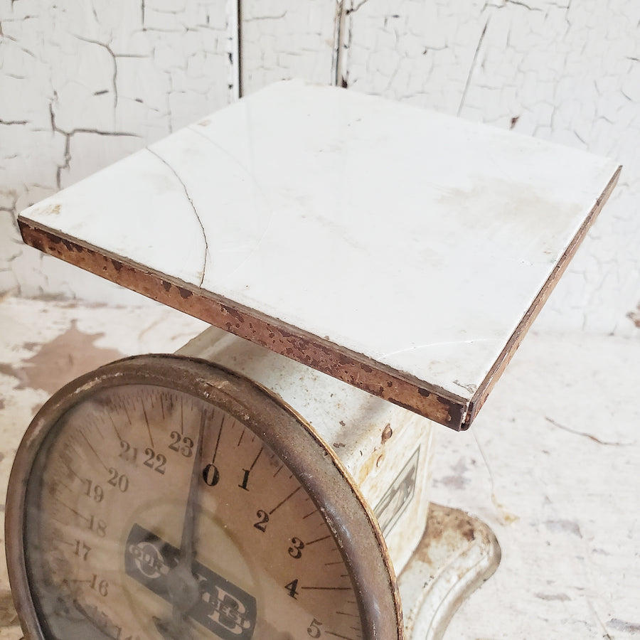 Vintage  Chippy White Metal OUR VERY BEST Scale