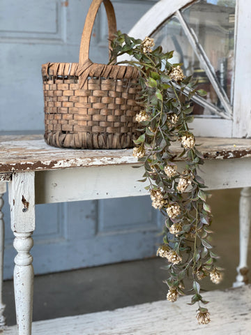 Late Bloomer Hanging Bush - Cream