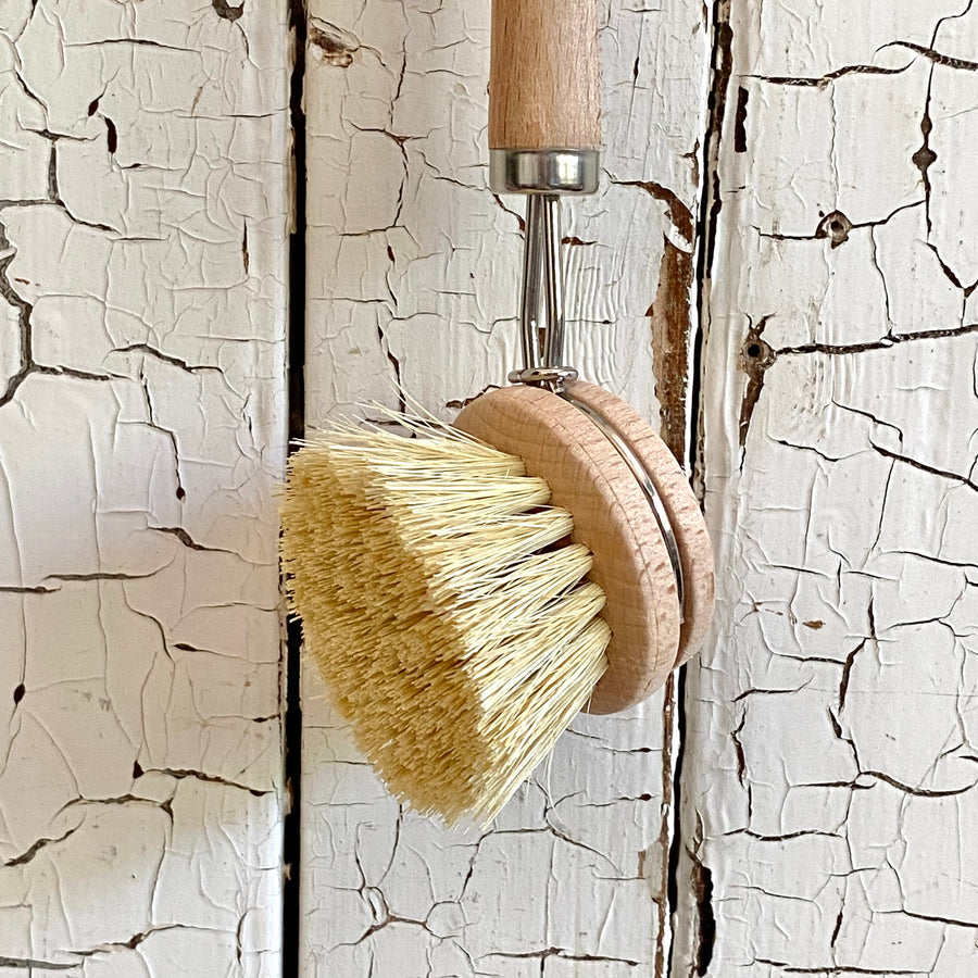 Beechwood Dish Brush - Light Wood