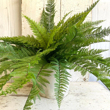 Extra Large Faux Fern Bush