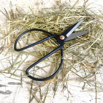 Large Iron Forged Utility Shears