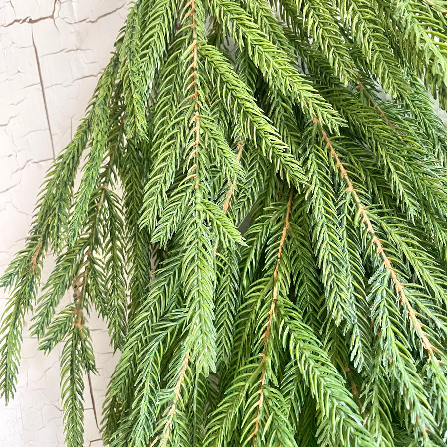 Austrian Pine Swag