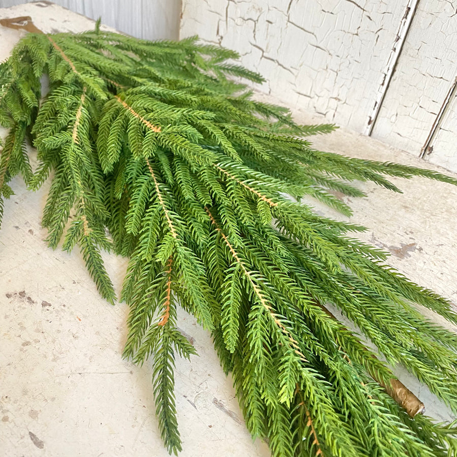 Austrian Pine Swag