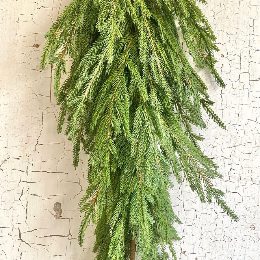 Austrian Pine Swag