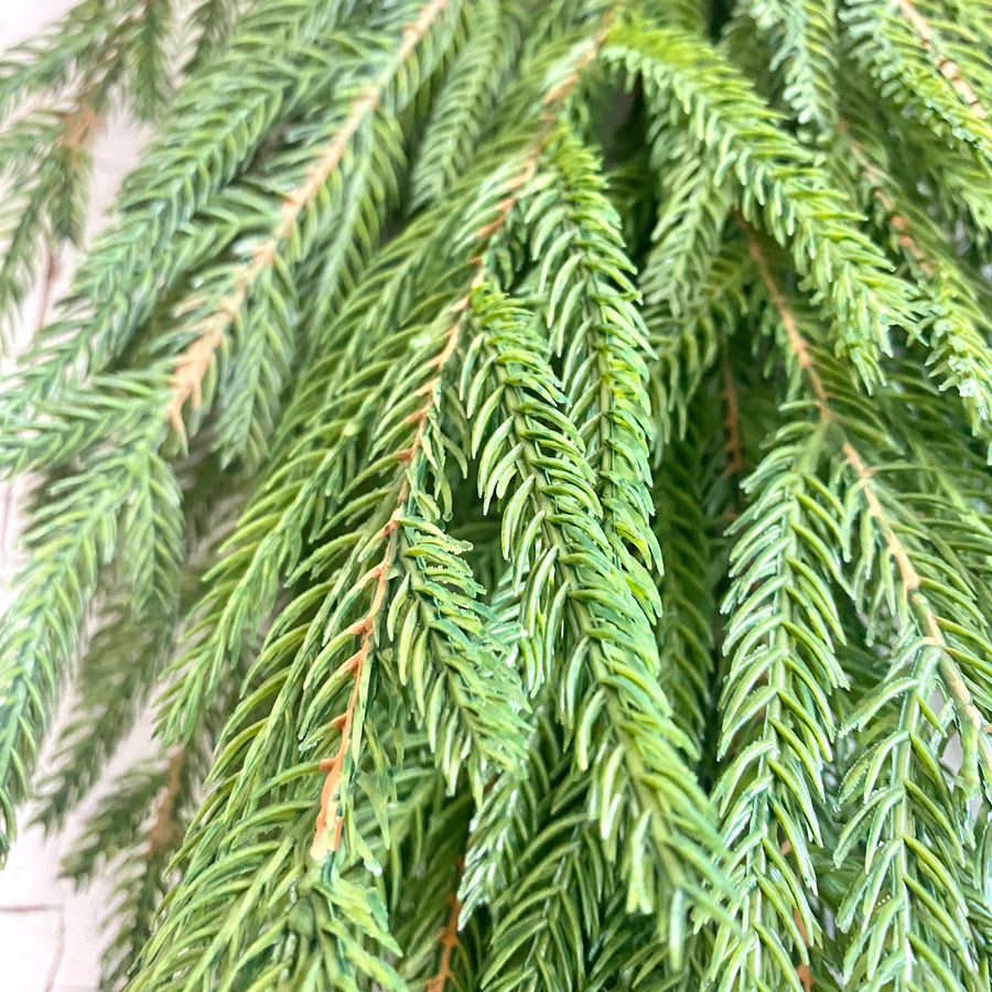 Austrian Pine Swag