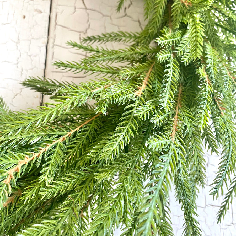 Austrian Pine Wreath