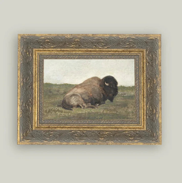 Antique Style Framed Print - Resting Bison 7x5