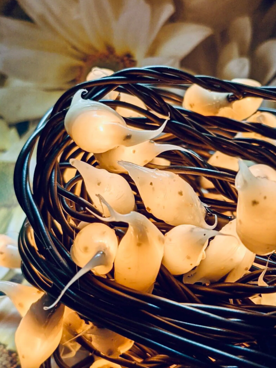 50 Count 