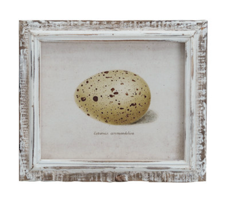 Framed Vintage Reproduction Egg Print