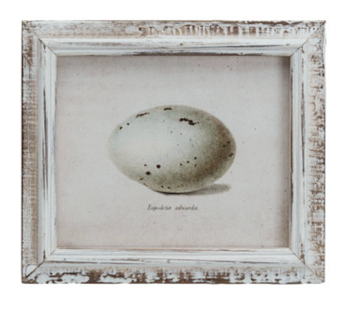 Framed Vintage Reproduction Egg Print