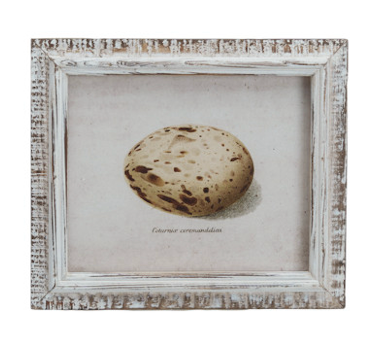Framed Vintage Reproduction Egg Print