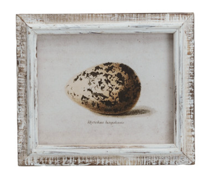 Framed Vintage Reproduction Egg Print