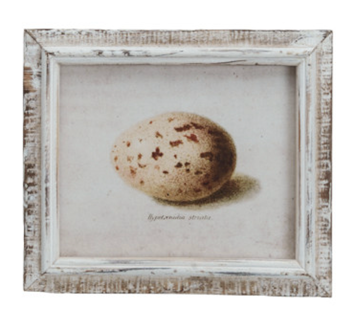 Framed Vintage Reproduction Egg Print
