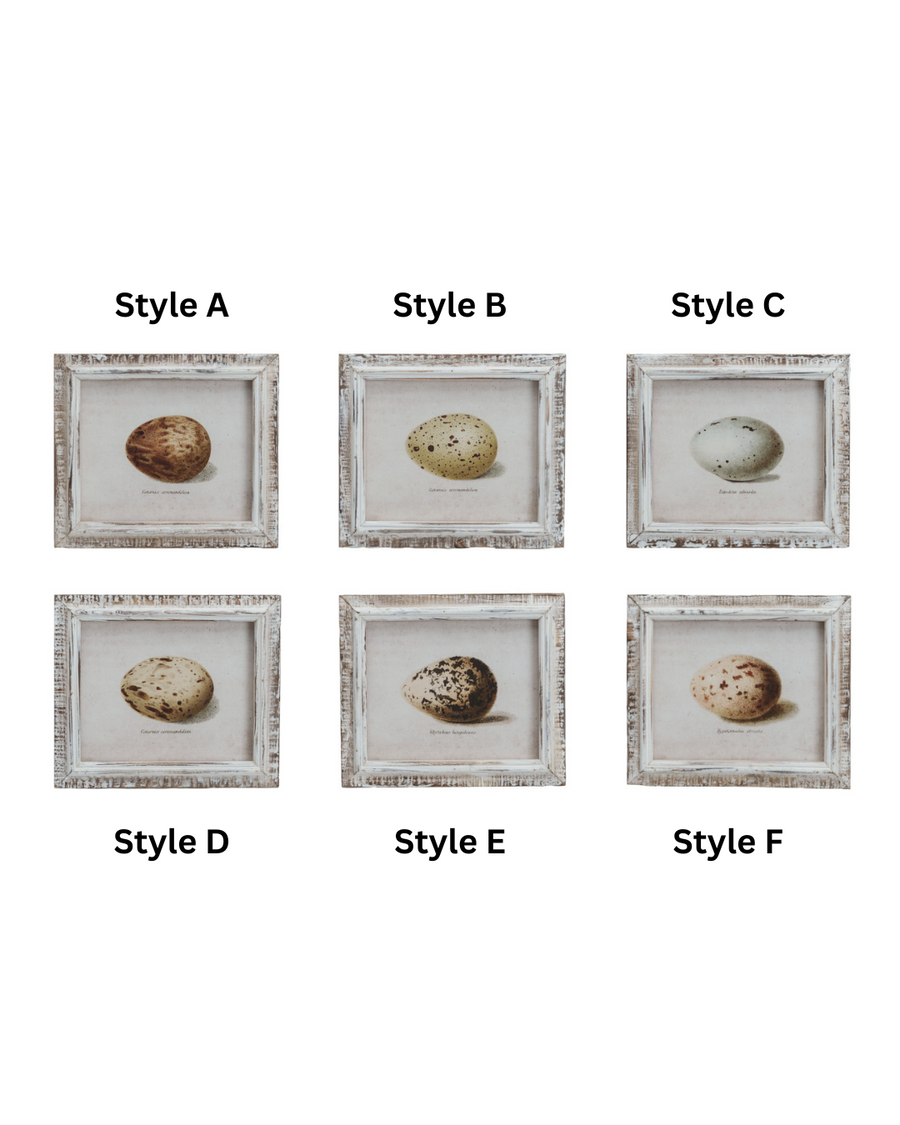 Framed Vintage Reproduction Egg Print