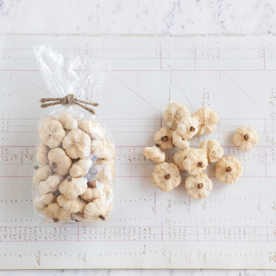 Dried Peepal Pod Pumpkin Bag