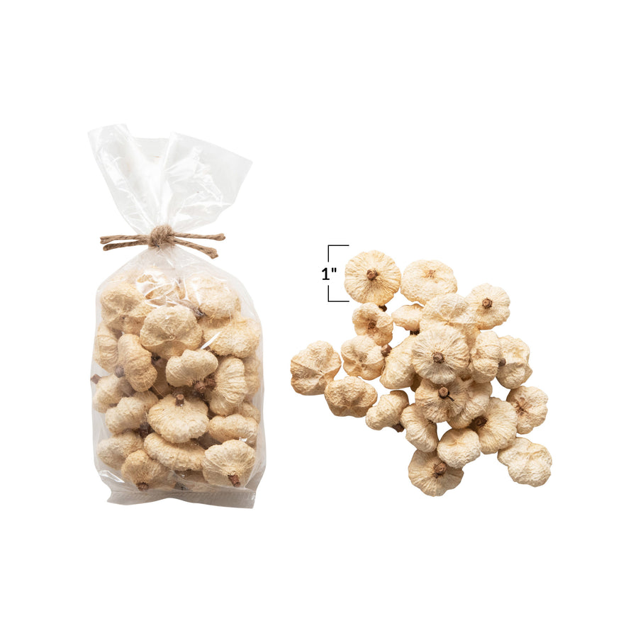 Dried Peepal Pod Pumpkin Bag