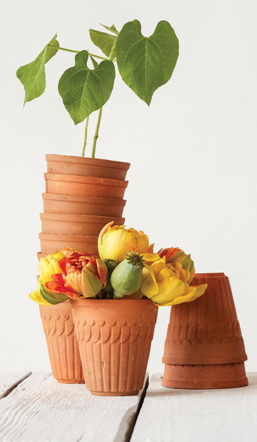 Small Terra Cotta Planter