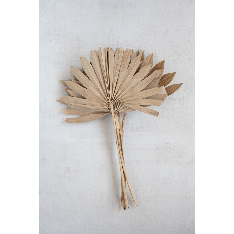 Bunch of 6 Dried Sun Cut Palms