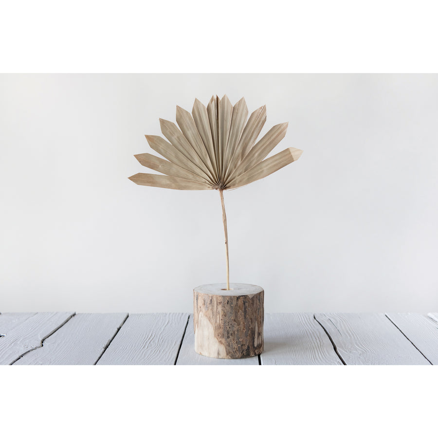Bunch of 6 Dried Sun Cut Palms