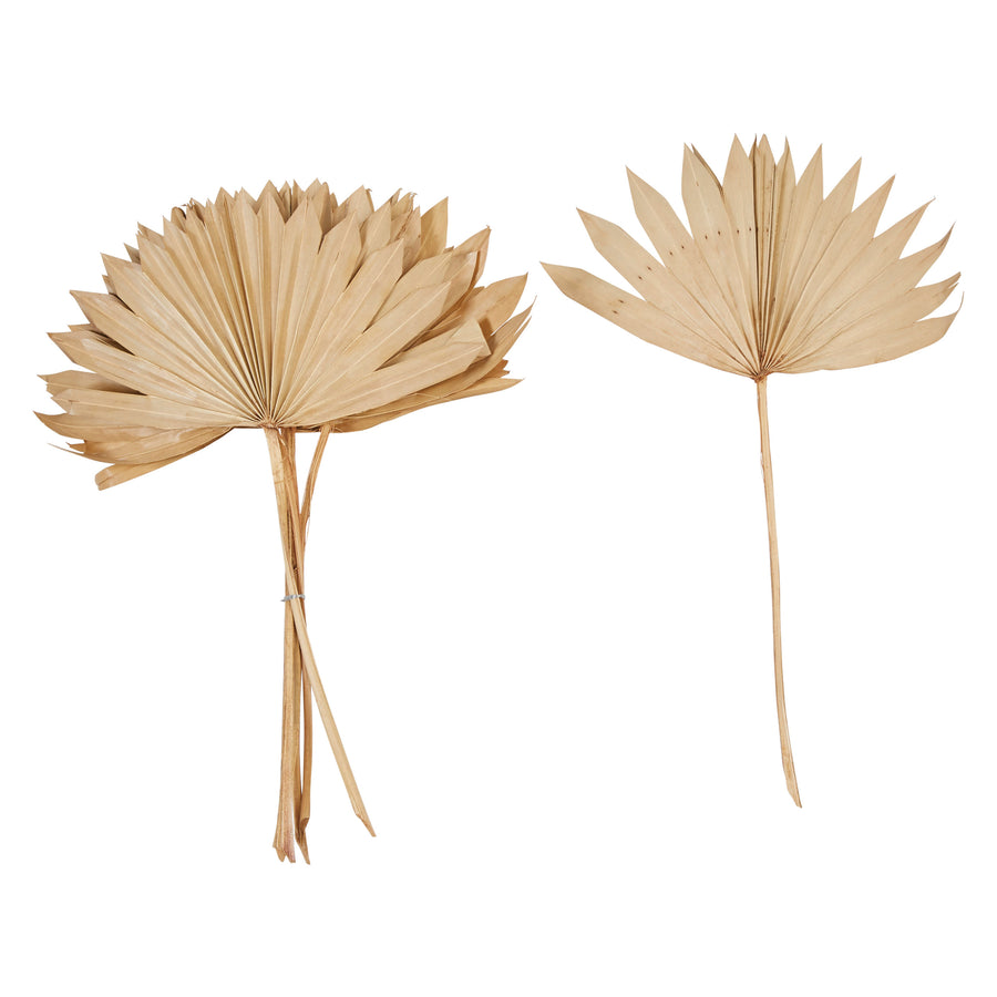 Bunch of 6 Dried Sun Cut Palms