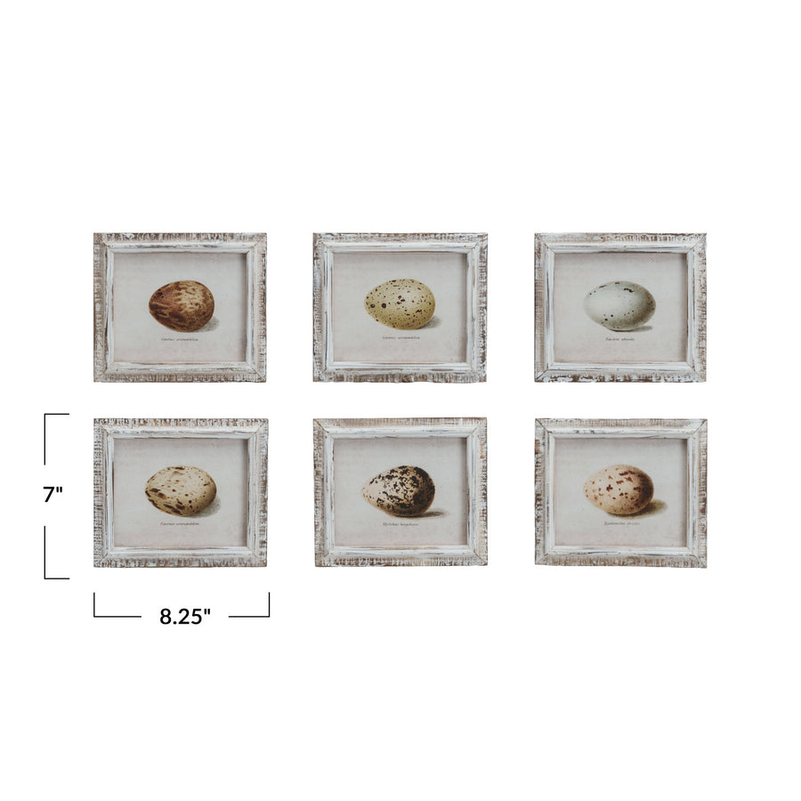 Framed Vintage Reproduction Egg Print