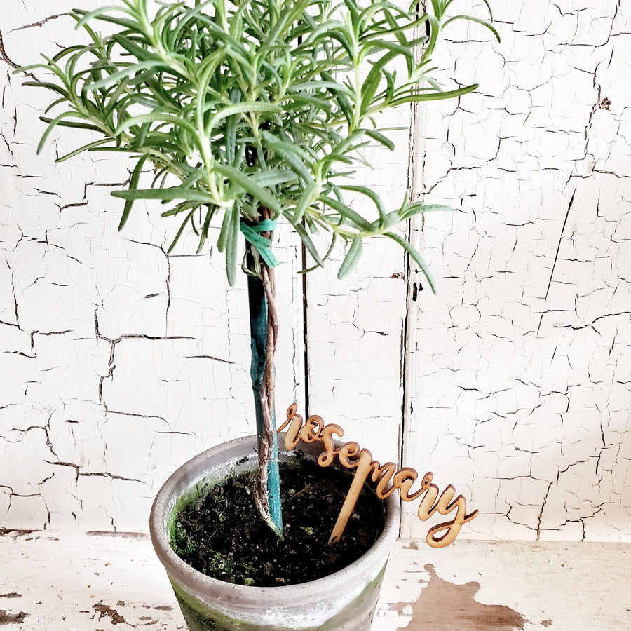 Wood Script Plant Pick....Rosemary