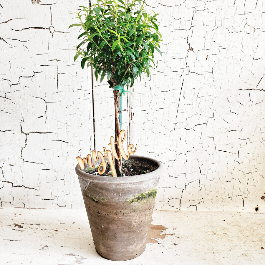 Wood Script Plant Pick....Myrtle