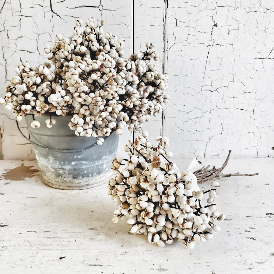 Bundle of Tallowberries