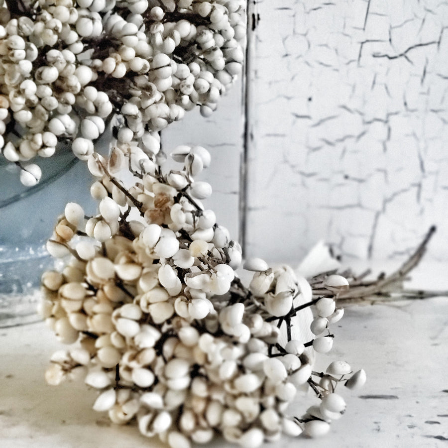 Bundle of Tallowberries