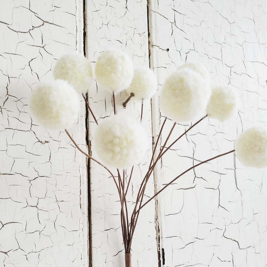 CREAM Mini Poms