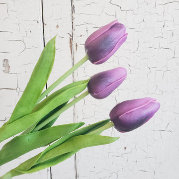 Real Feel Tulip- DARK PURPLE