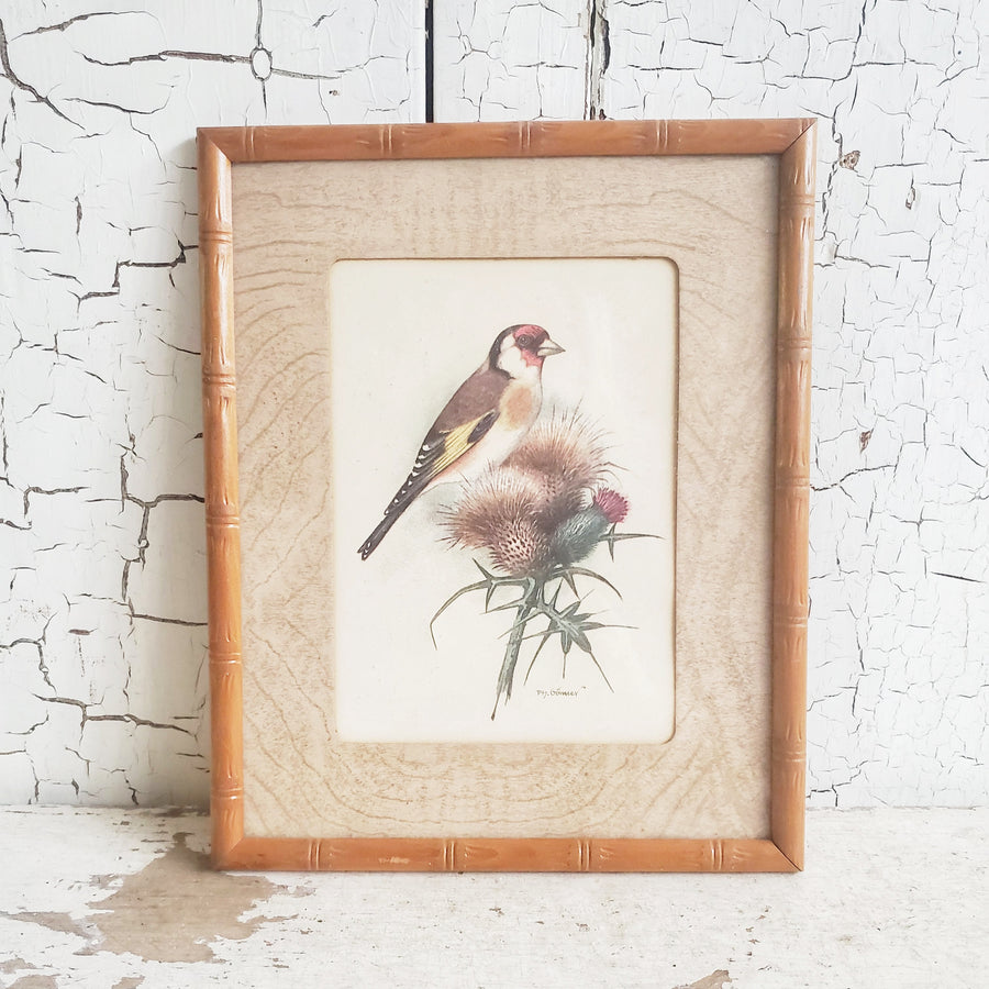 Vintage Framed Bird Print