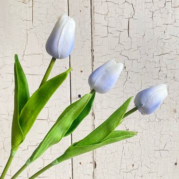 Real Feel Tulip- BLUE