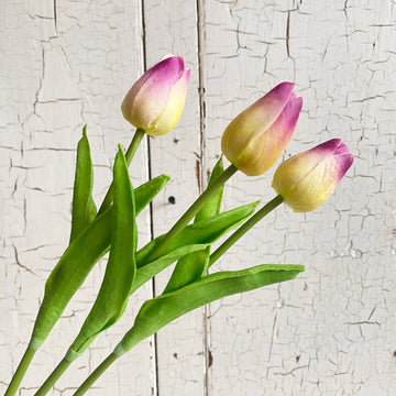 Real Feel Tulip- PURPLE TIP