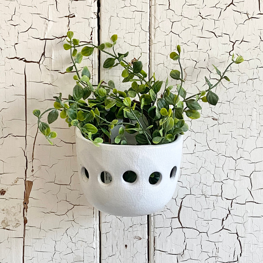 Hanging Wall Planter